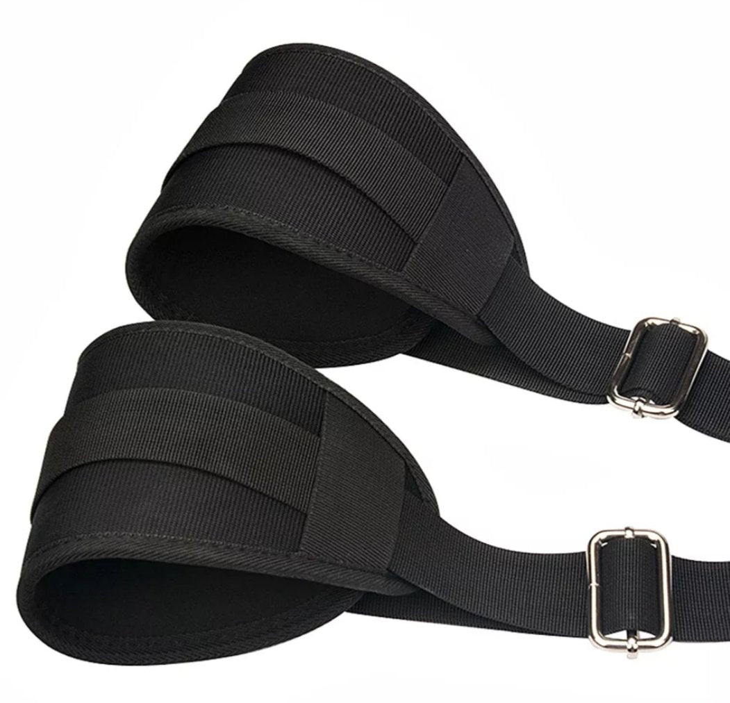 Over the door Harness