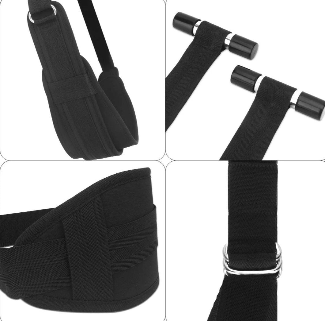 Over the door Harness